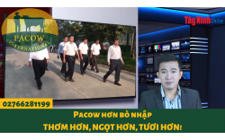 CHỦ TỊCH UBND TỈNH TÂY NINH THĂM, LÀM VIỆC VỚI CÔNG TY TNHH PACOW INTERNATIONAL