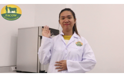 MÙI VÀ MÀU SẮC ĐẶC TRƯNG CỦA SẢN PHẨM THỊT BÒ MÁT PACOW (VIDEO)