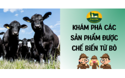 Khám Phá Các Sản Phẩm Được Chế Biến Từ Bò - Không Chỉ Có Thịt Bò Và Sữa