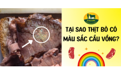 Tại Sao Thịt Bò Có Màu Sắc Cầu Vồng, Có Nên Ăn Khi Thấy Hiện Tượng Này?