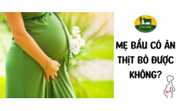 Mẹ Bầu Có Ăn Thịt Bò Được Không? Lợi Ích Và Lưu Ý Quan Trọng