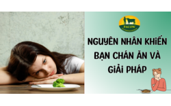 Nguyên Nhân Khiến Bạn Chán Ăn và Giải Pháp